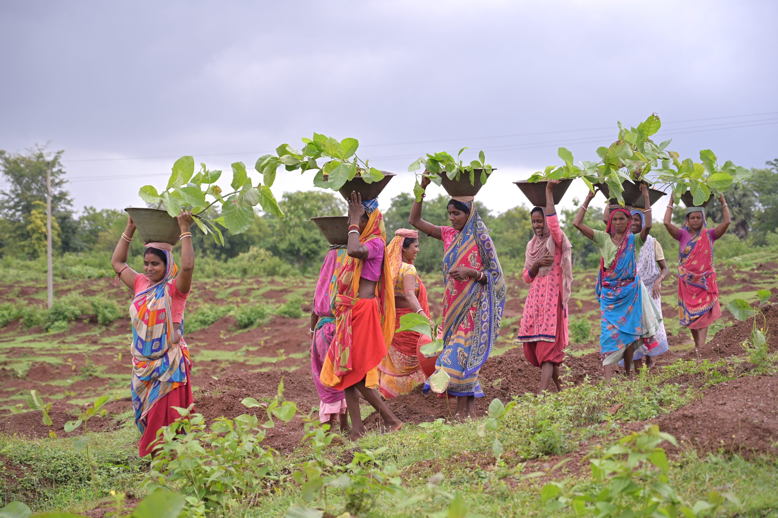 Impact Project Image