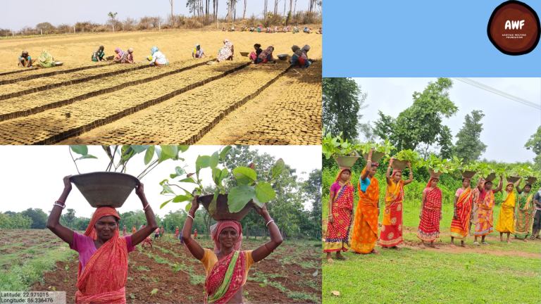 How CSR Drives Environmental Transformation