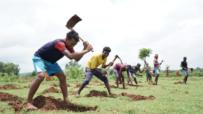 Sustainable Tree Planting for Companies: A Corporate Responsibility That Grows