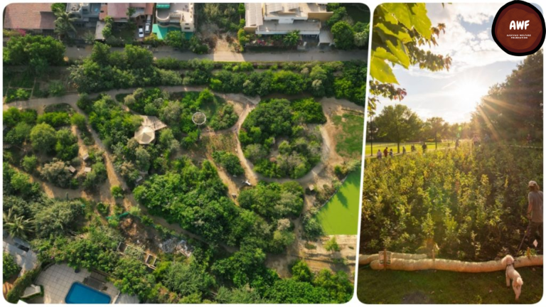 The Miyawaki Method for Urban Forests: What Corporates Need to Know