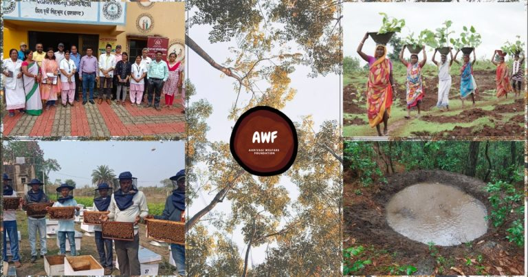 Check Dams, Forest Rights & Tribal Livelihoods: Why 2025 Is a Turning Point for Tribal Communities in India