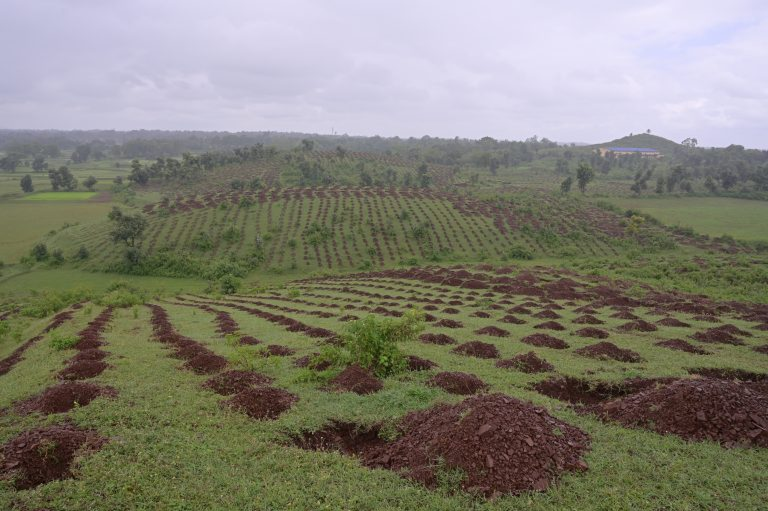 Battling the Blaze: A Call to Action for Forest Conservation in India