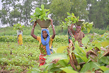 Empowering women in our tree plantation initiative